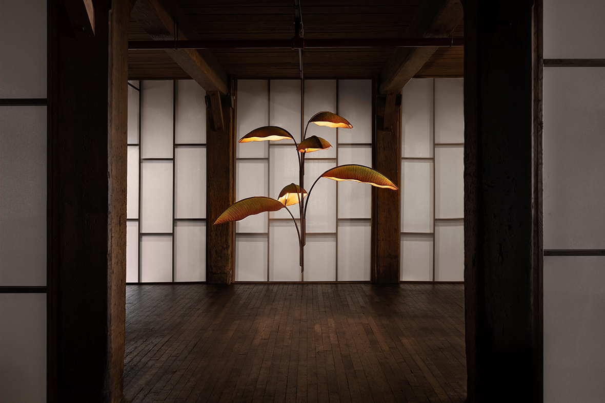 3. Le bontà del tè lily: Promuovendo una pelle radiosa e rinforzando il sistema immunitario