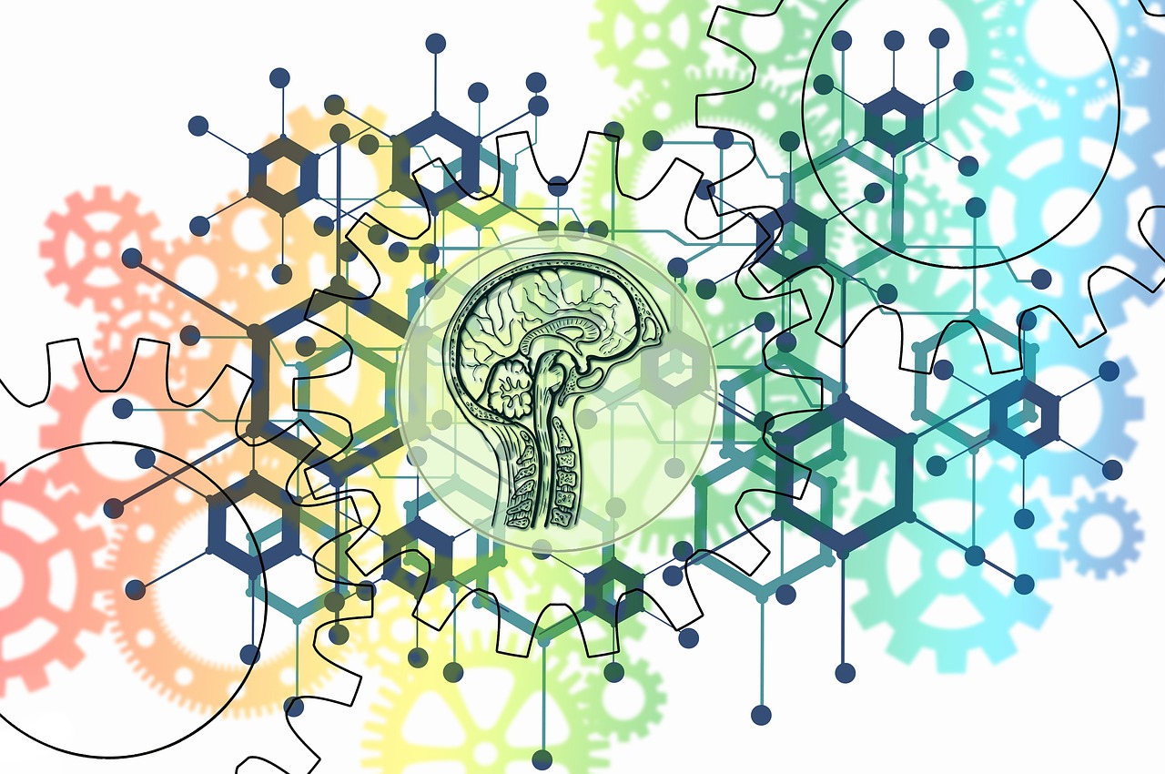 Superfood per migliorare la funzione cognitiva e sostenere la salute del cervello