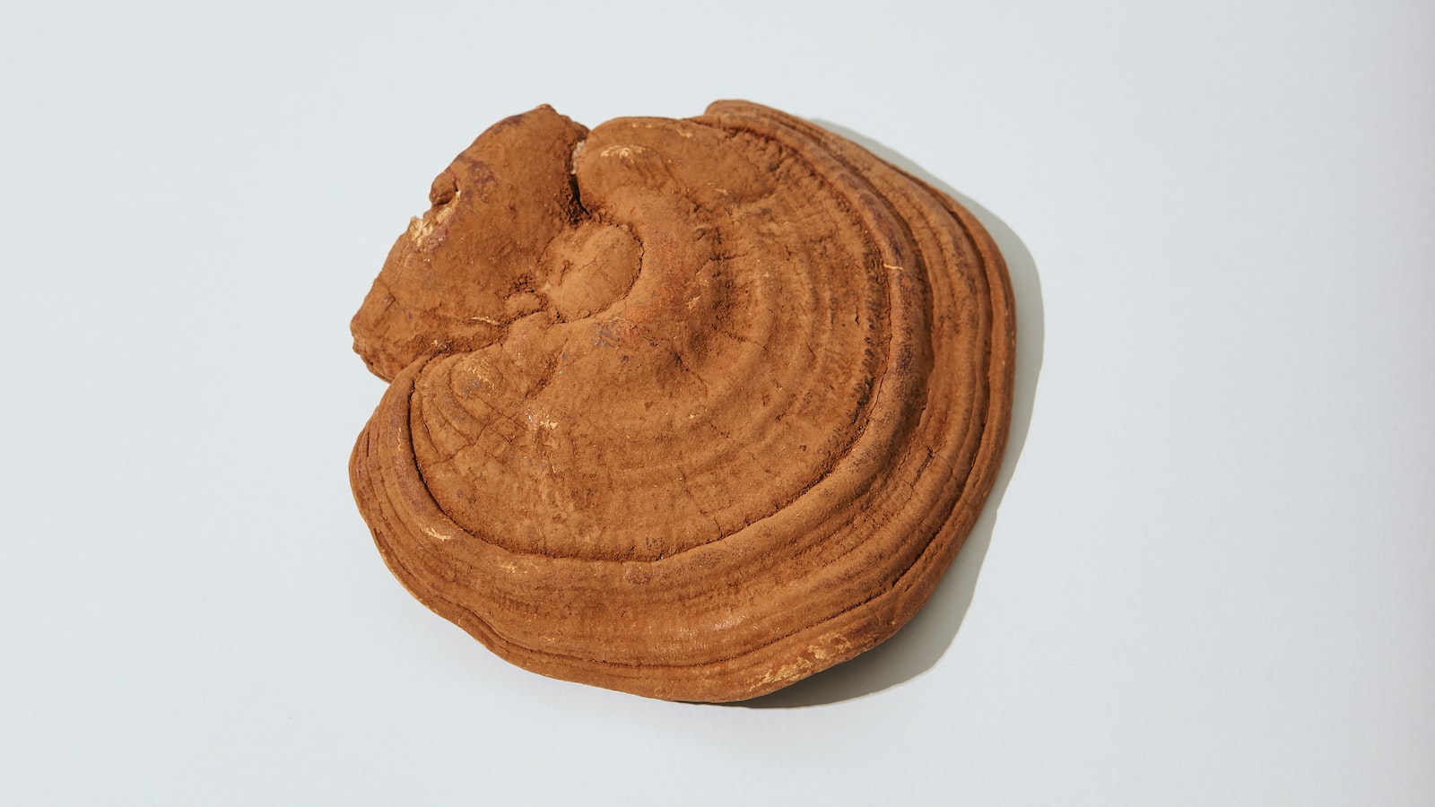 5. Come le superfoods possono supportare il sistema immunitario